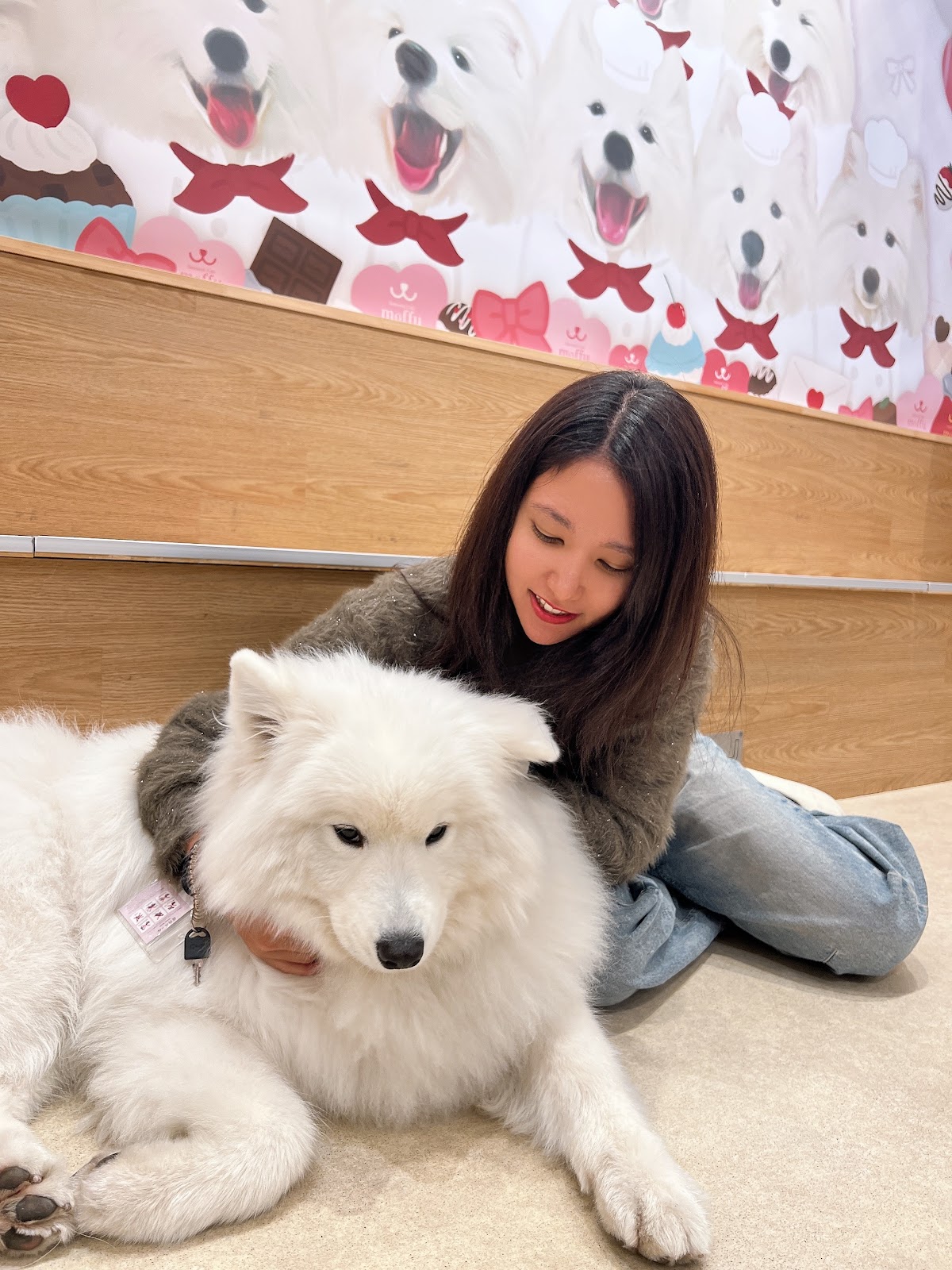 サモエドカフェmoffu 原宿店の実際の写真