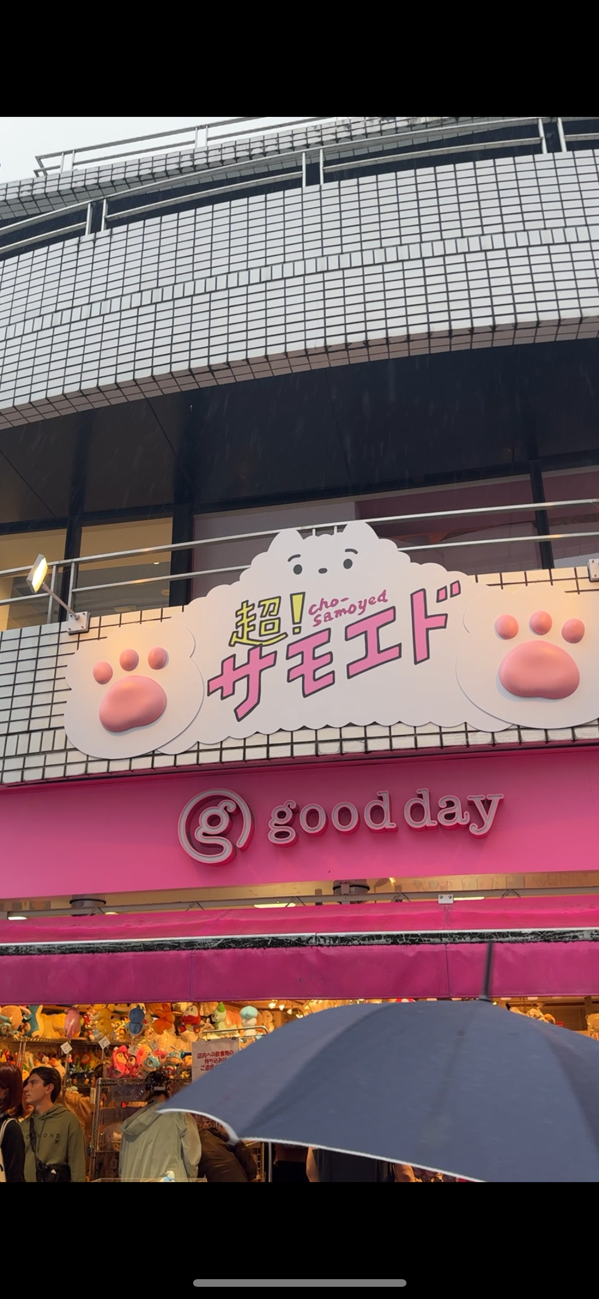 サモエドカフェ『超！サモエド』原宿店