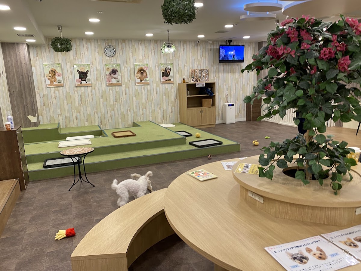 いぬカフェRio 吉祥寺店