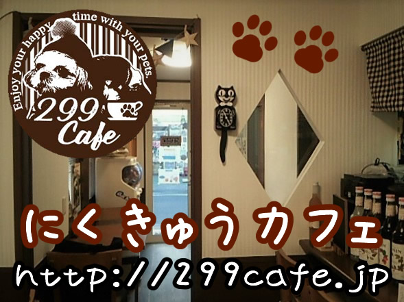 にくきゅうカフェの実際の写真
