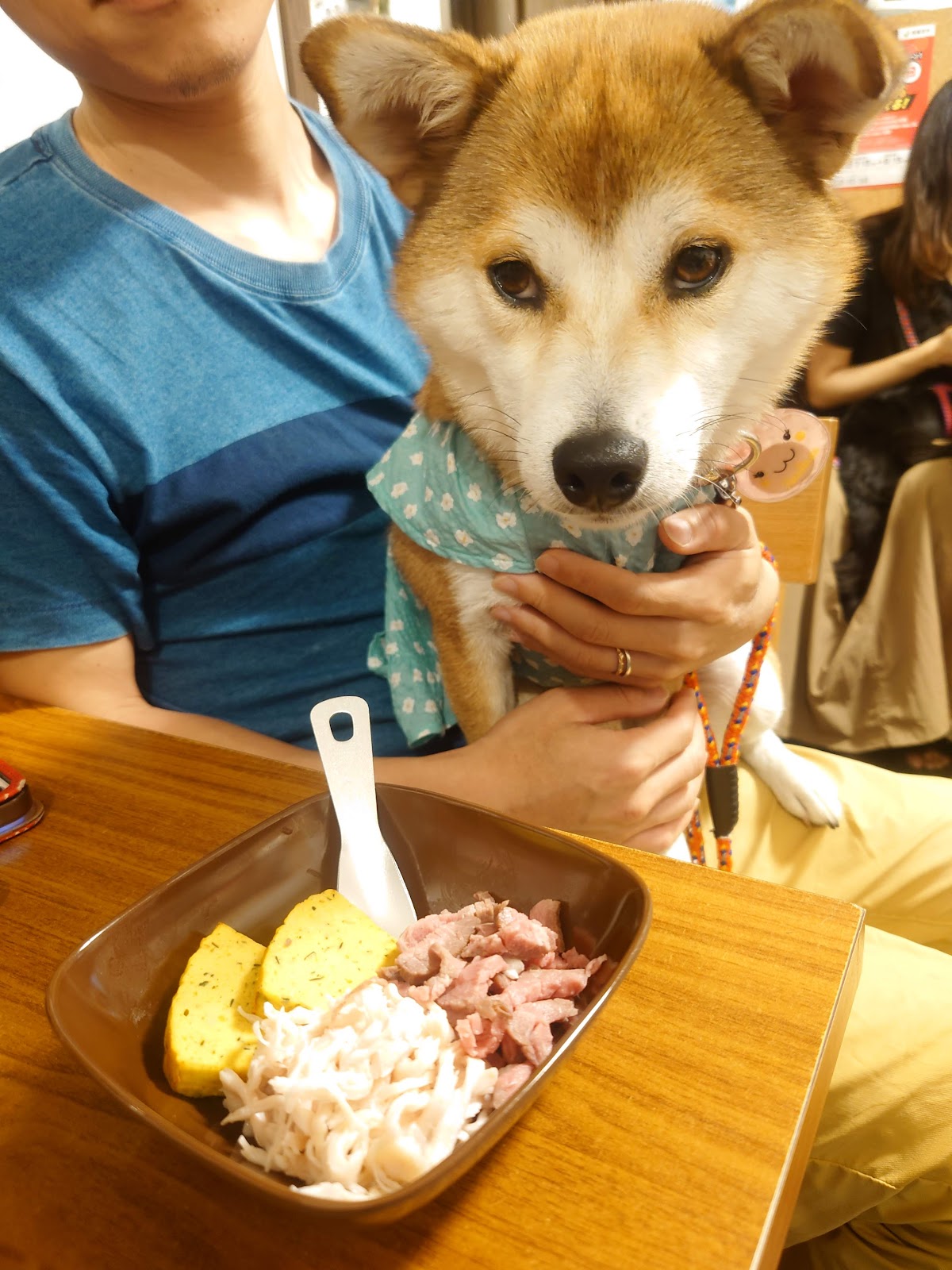 にくきゅうカフェの実際の写真