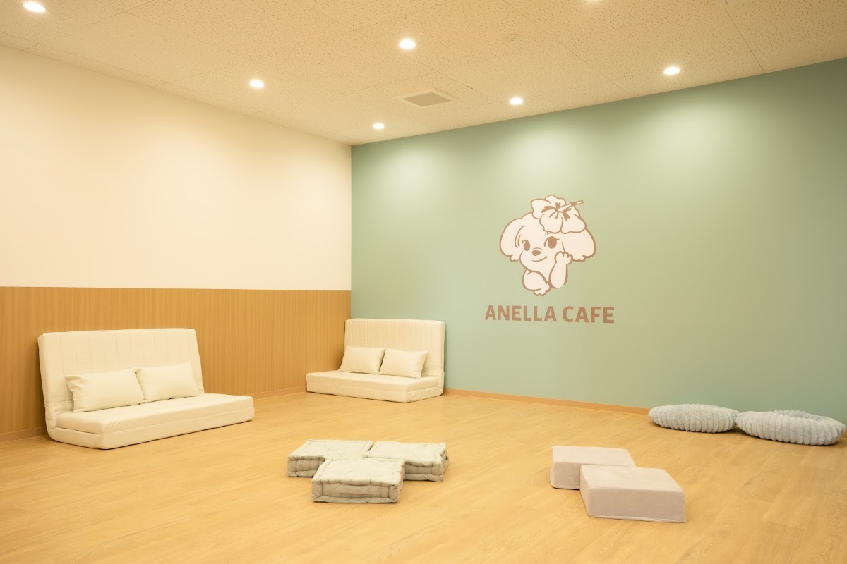 アネラカフェ 川崎駅前店の実際の写真
