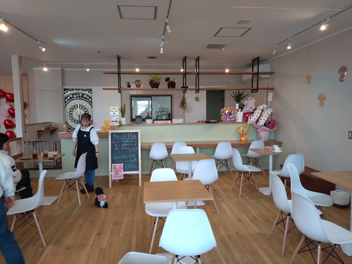 DOG CAFE Bellの実際の写真