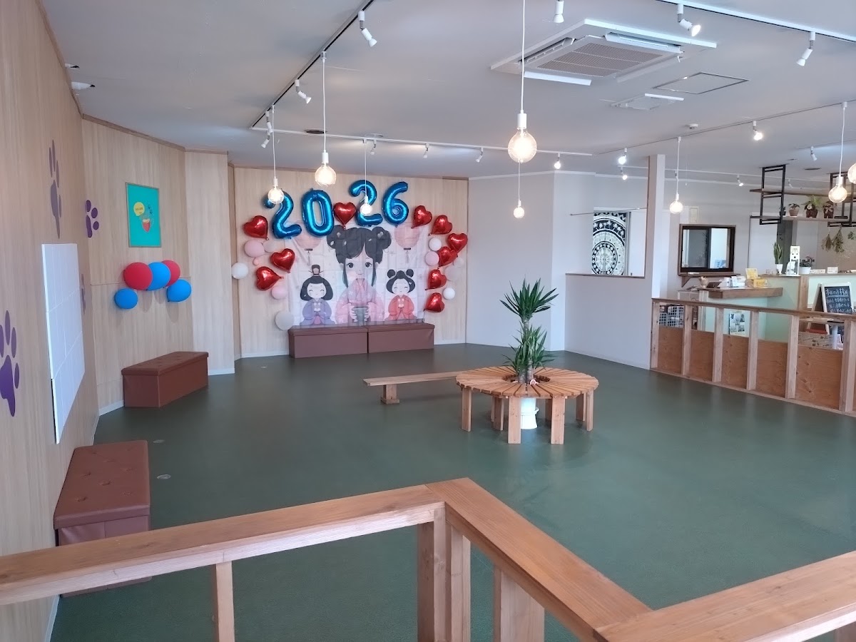 DOG CAFE Bellの実際の写真