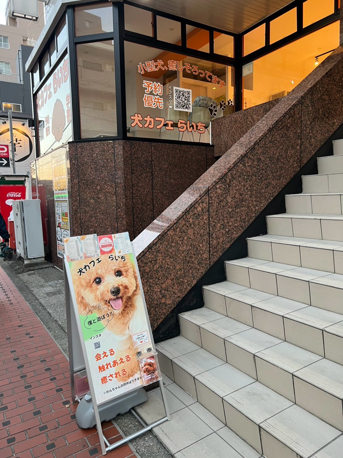 犬カフェらいち