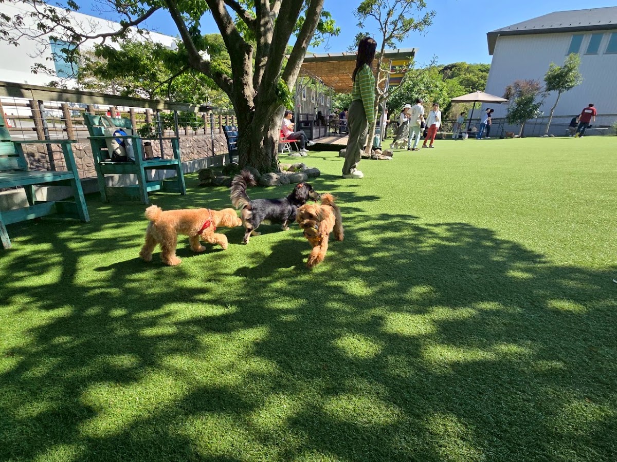 Ven! Kitchen & Dog Gardenの実際の写真