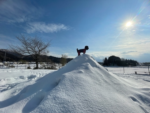 91R -Dog Park Cafe-の実際の写真
