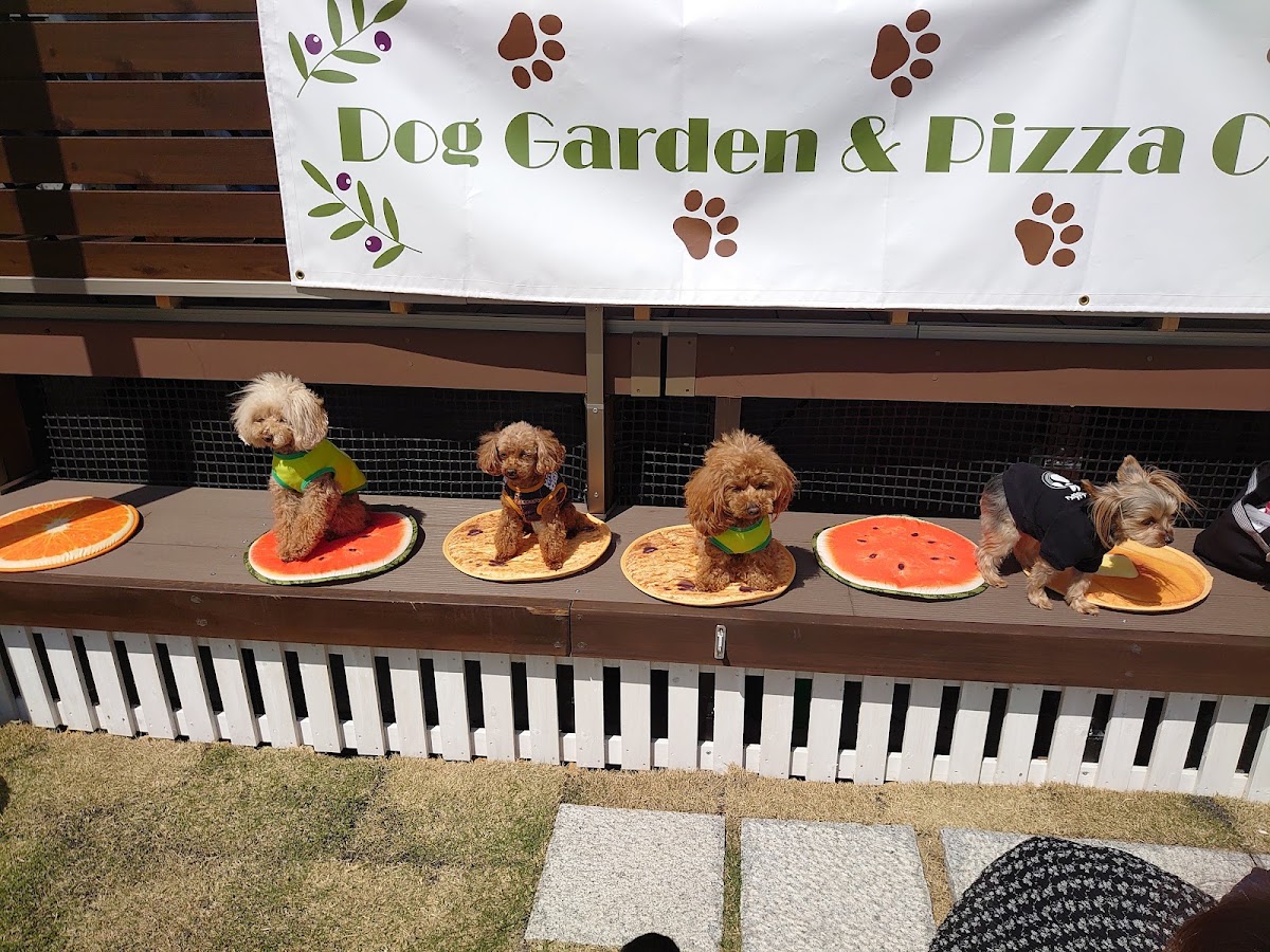 Dog Garden OLIVE & ＲＯＨＡＮの実際の写真