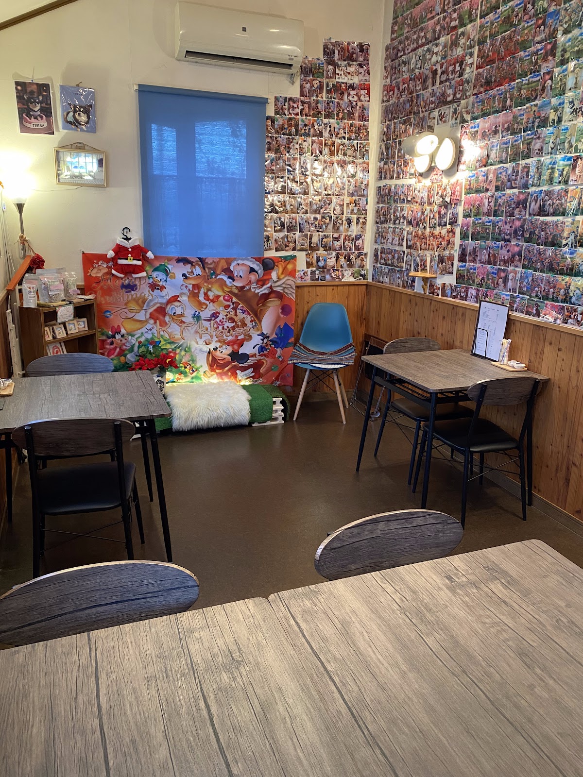 K.T Houseの実際の写真