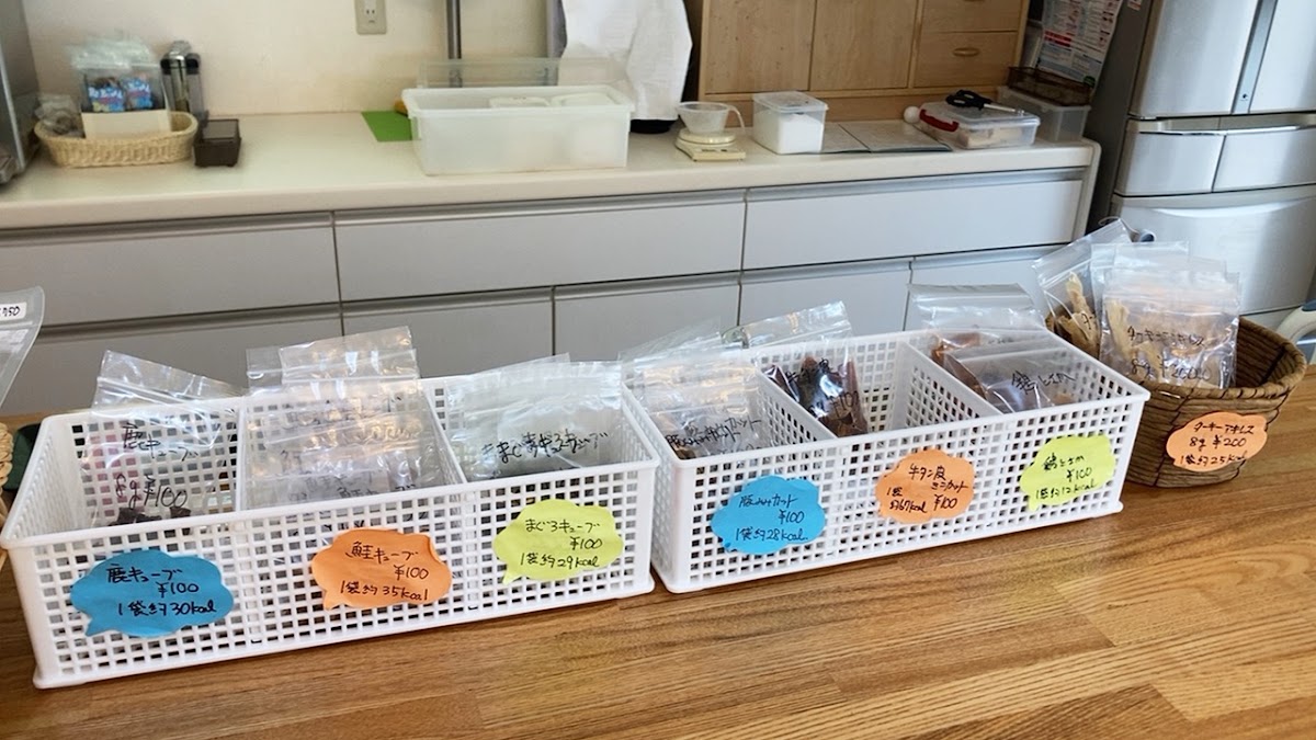 dog cafe MINT