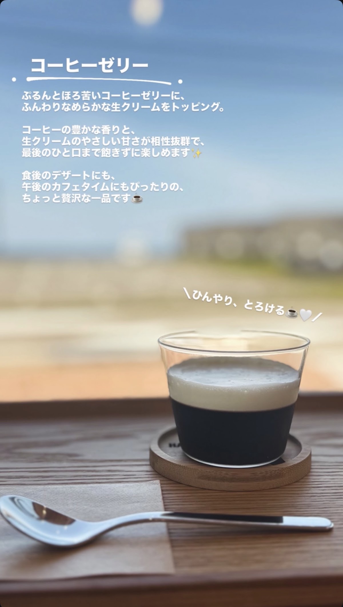 DOG HARBORの実際の写真