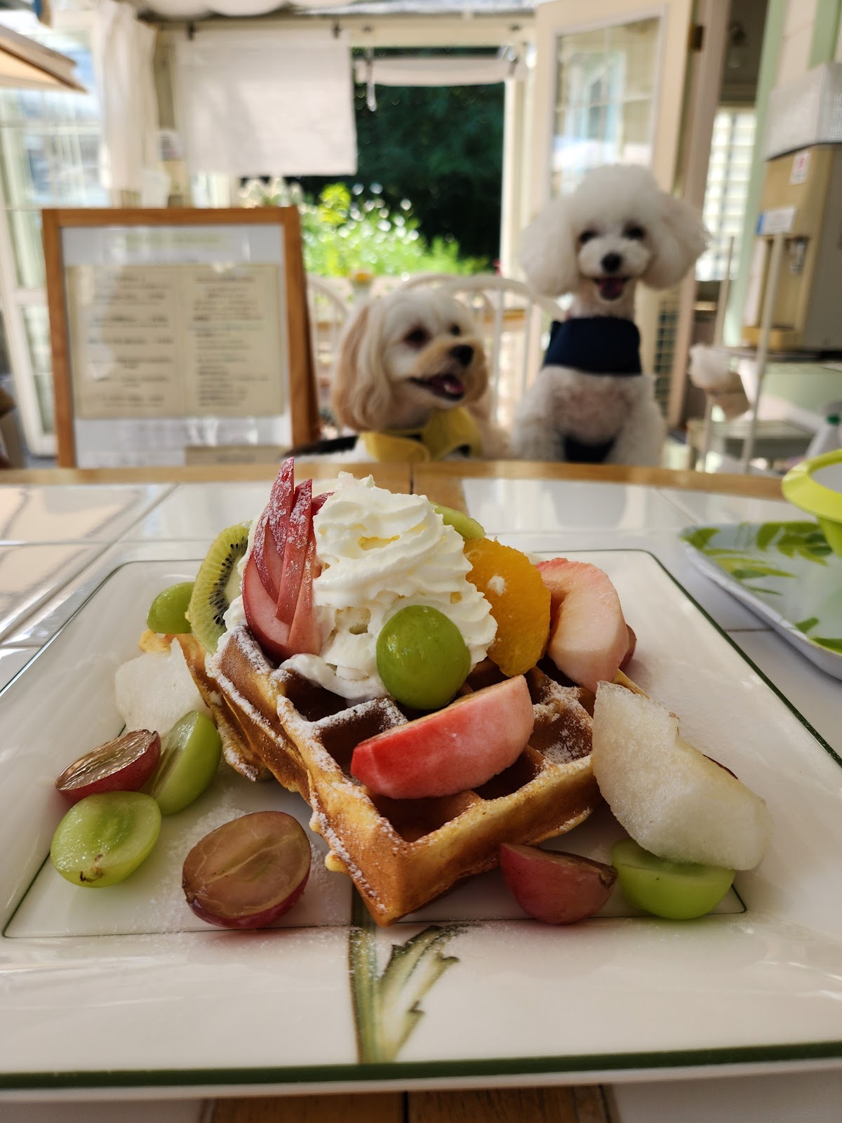 ドッグランカフェ フルールの実際の写真