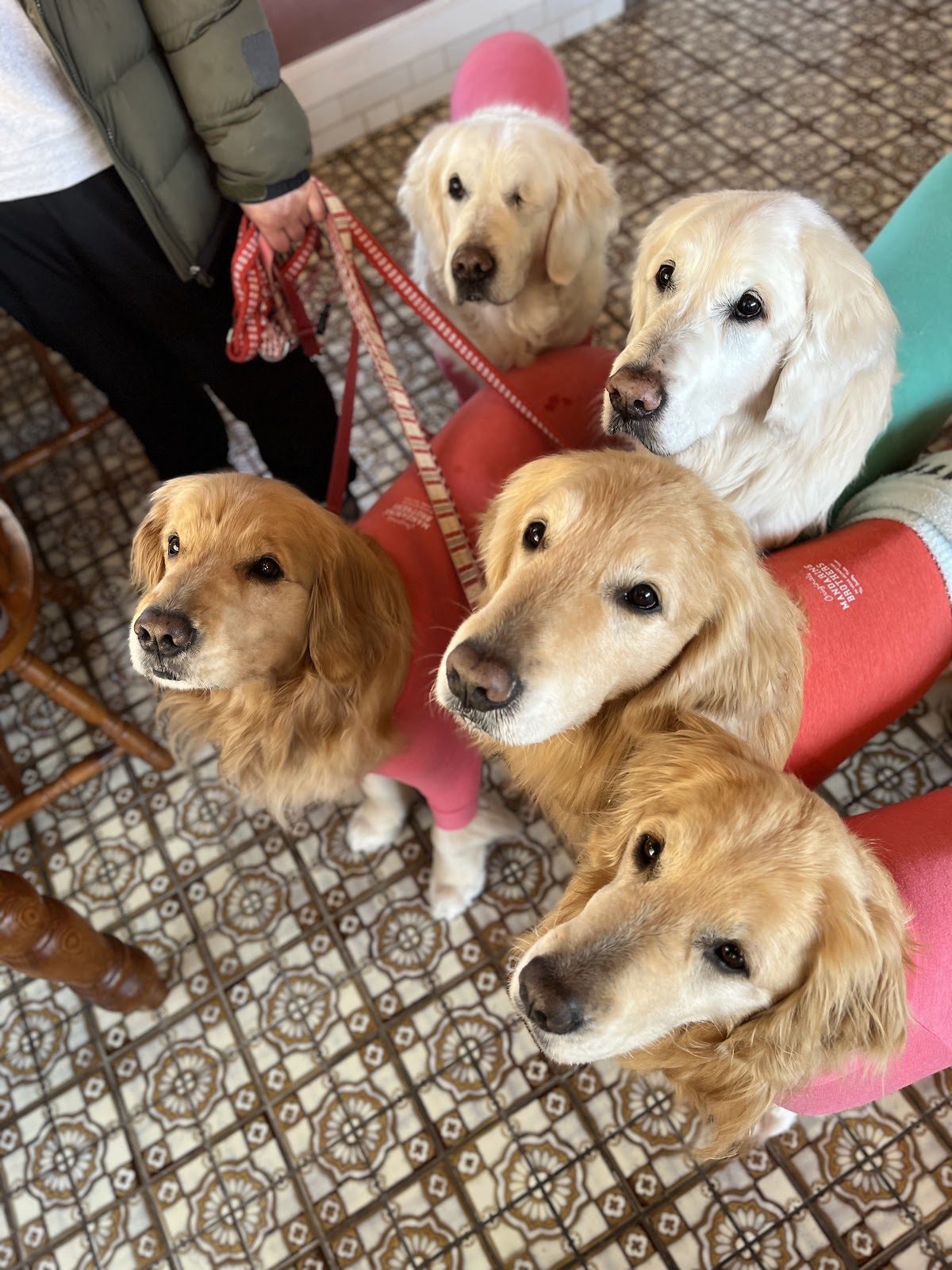 komorebi cafe(コモレビカフェ)の実際の写真