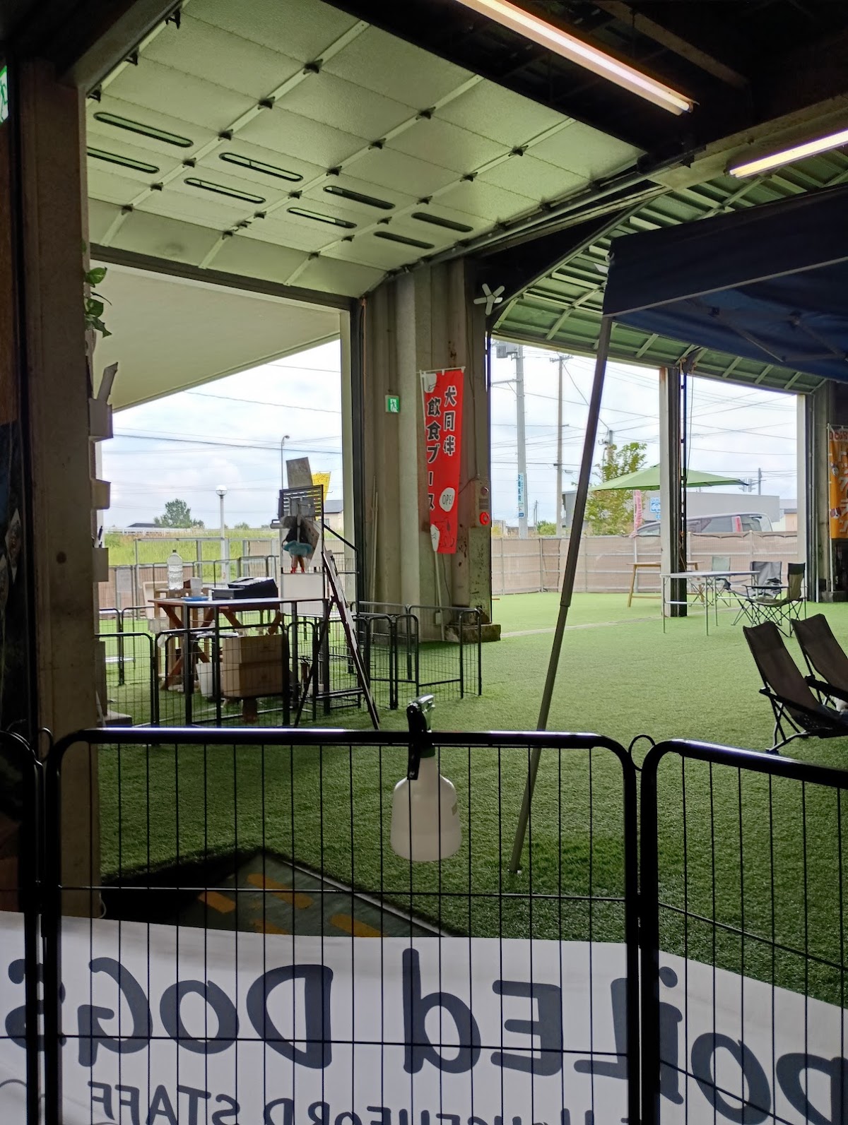 dogspace.tsurutaの実際の写真