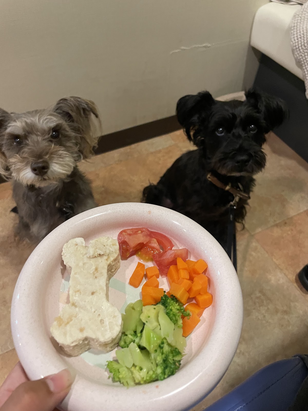 DogCafe wanwanの実際の写真