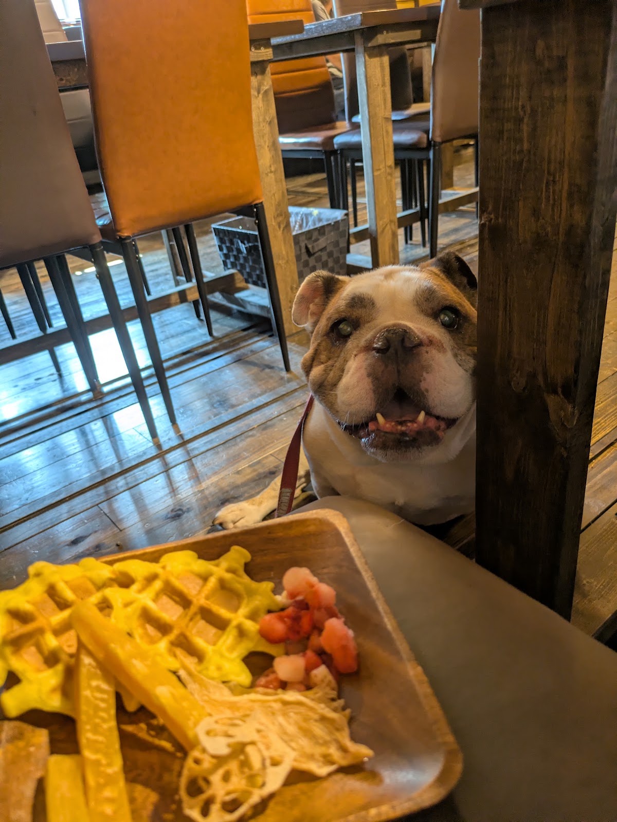 Dog 和 Cafe あんの実際の写真