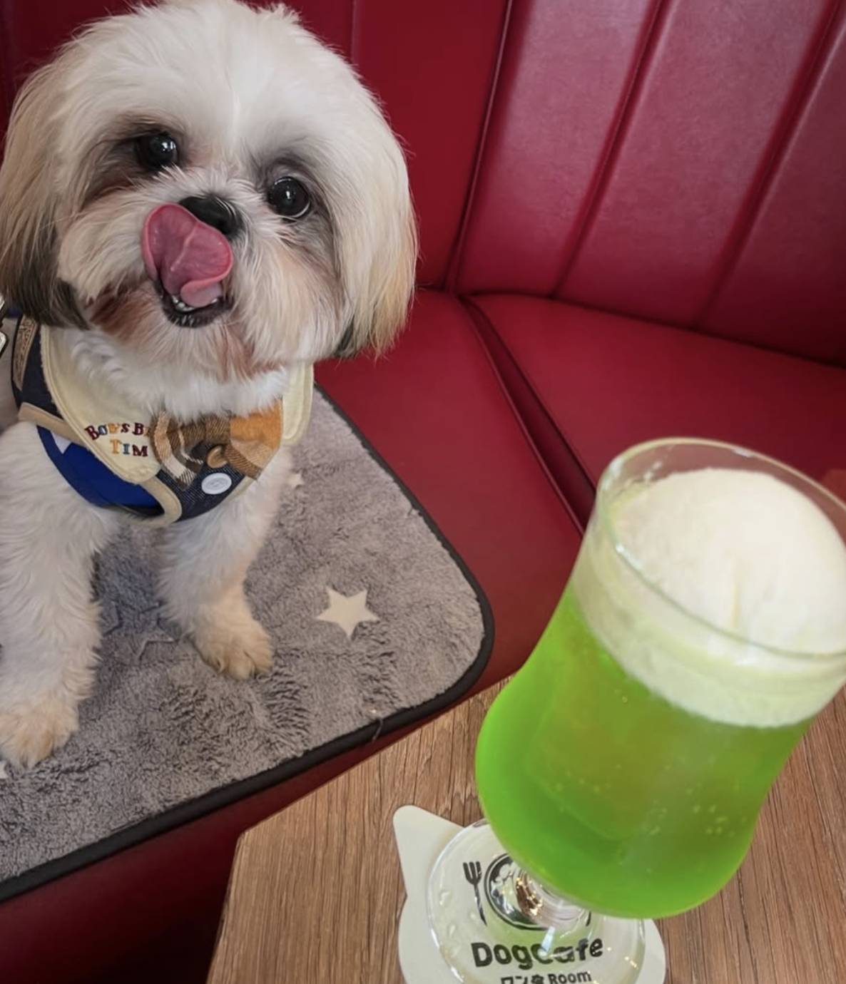 DogCafe ワンRoomの実際の写真