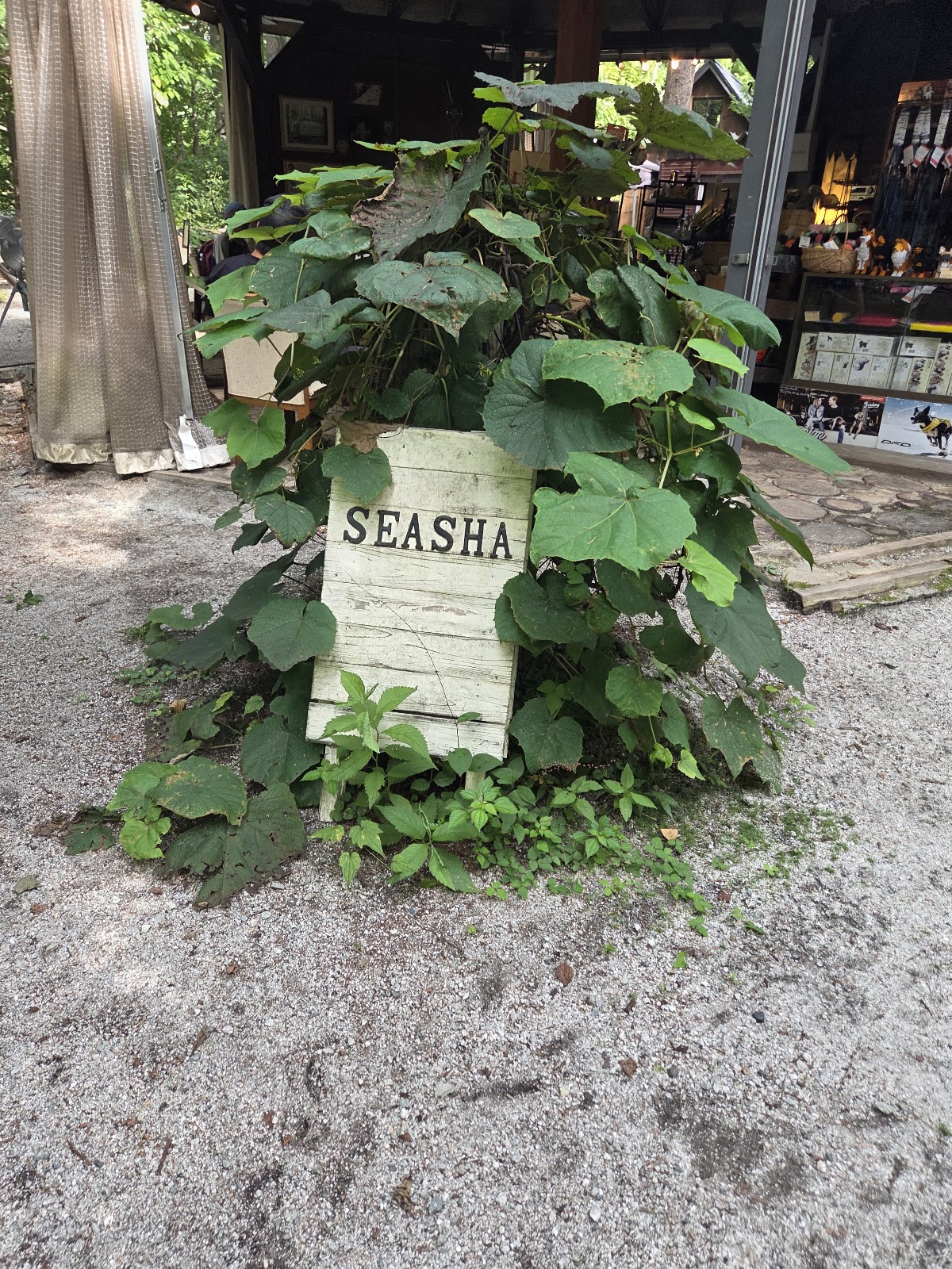 Forest Garden SEASHAの実際の写真