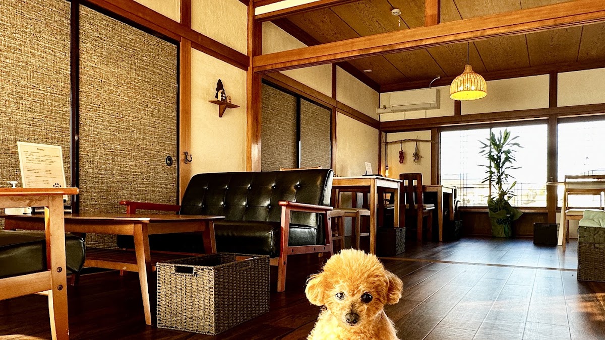 KOPILULU CAFE/コピルルカフェ/犬入店OKカフェ