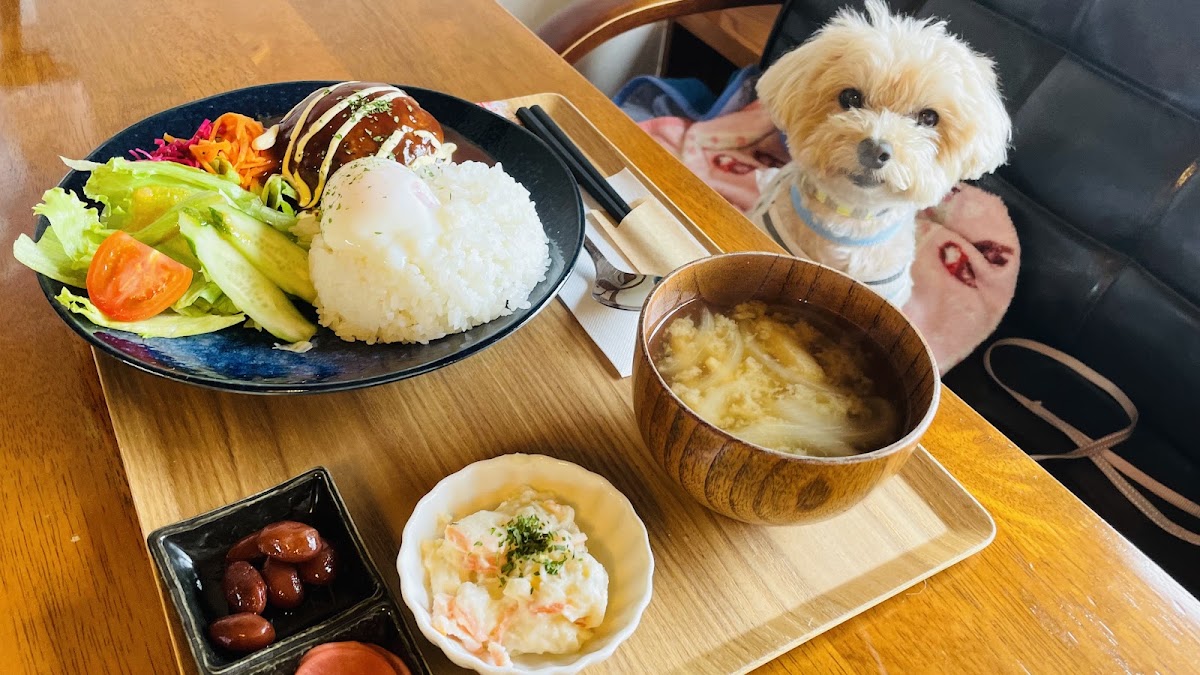 KOPILULU CAFE/コピルルカフェ/犬入店OKカフェの実際の写真