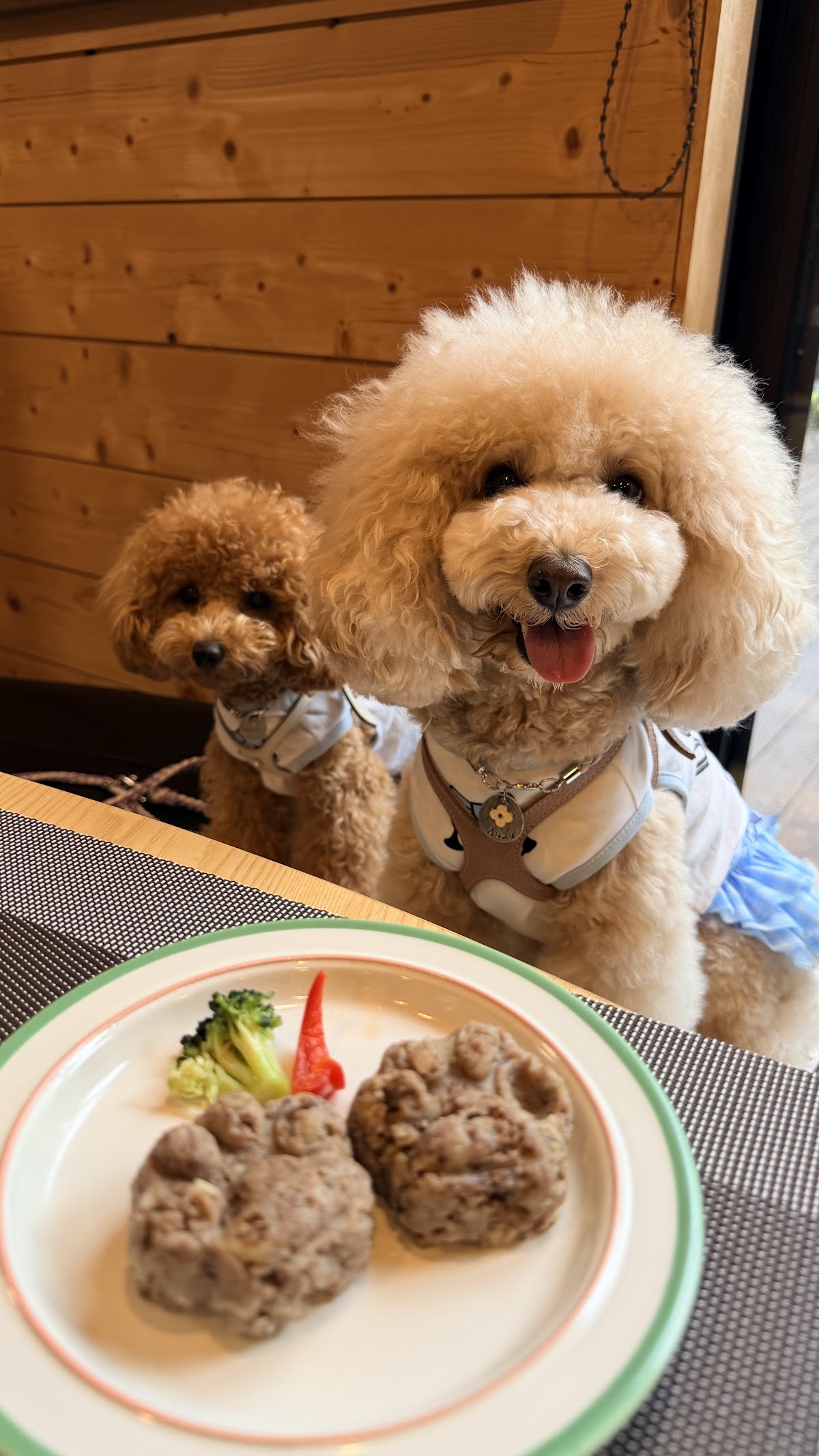ちわカフェの実際の写真