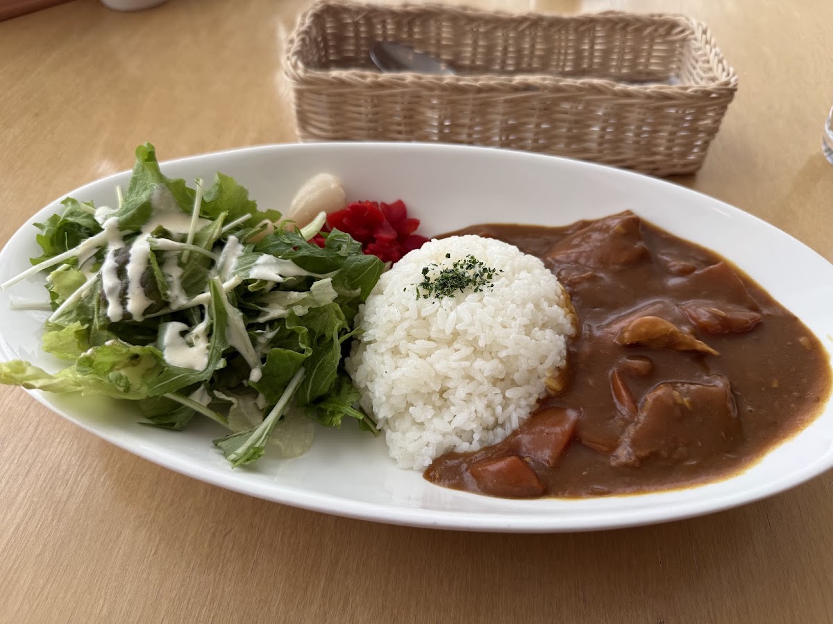 café 4匹の猫の実際の写真