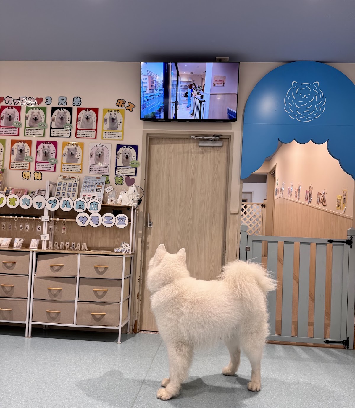 サモエドカフェ アル 名古屋栄店の実際の写真