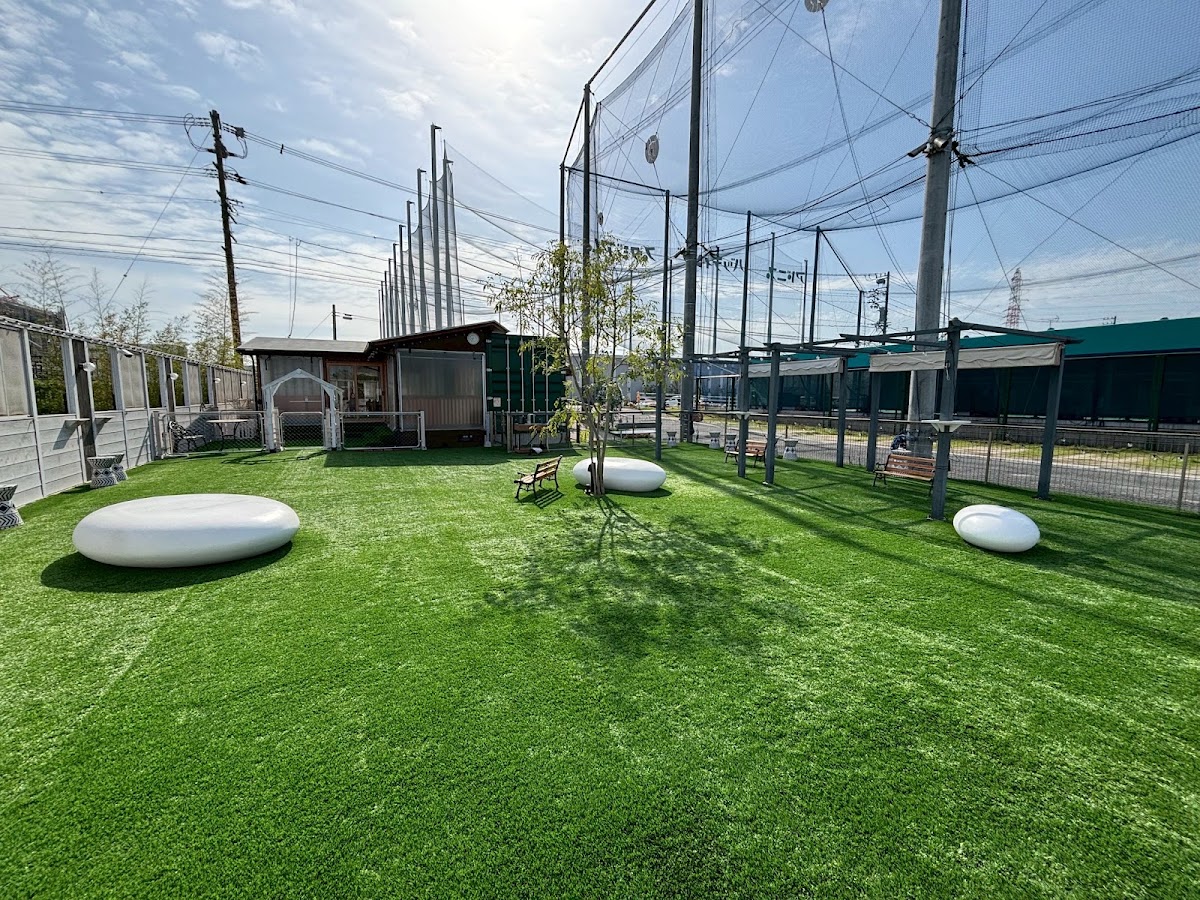 DCR Dog Cafe & Runの実際の写真