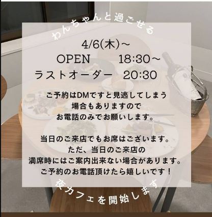 S&S.a ドッグカフェの実際の写真