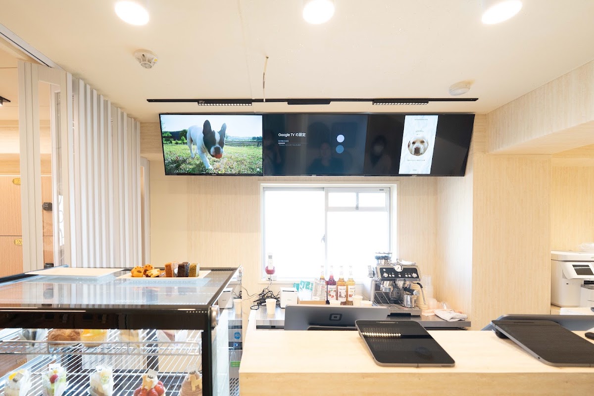 KOTEN PET SHOP & DOG CAFE