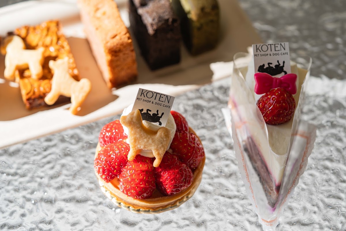 KOTEN PET SHOP & DOG CAFEの実際の写真