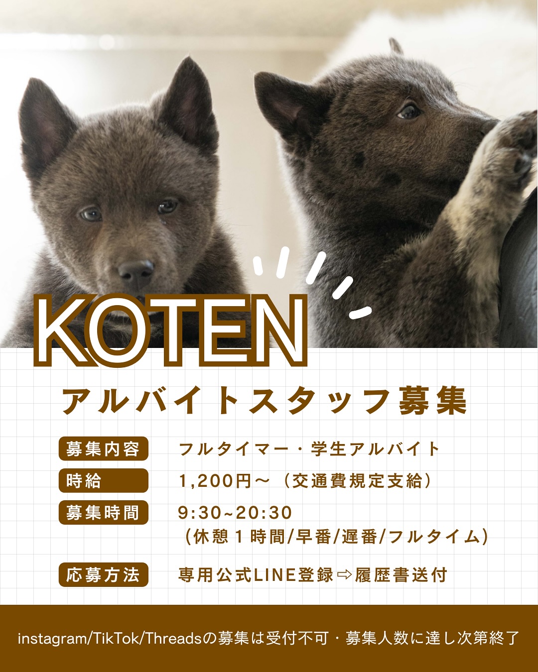 KOTEN PET SHOP & DOG CAFEの実際の写真