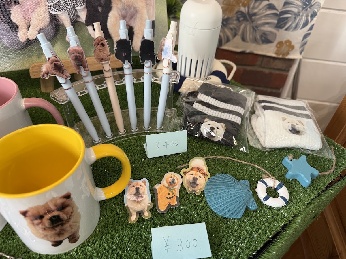 チャウチャウランドの実際の写真