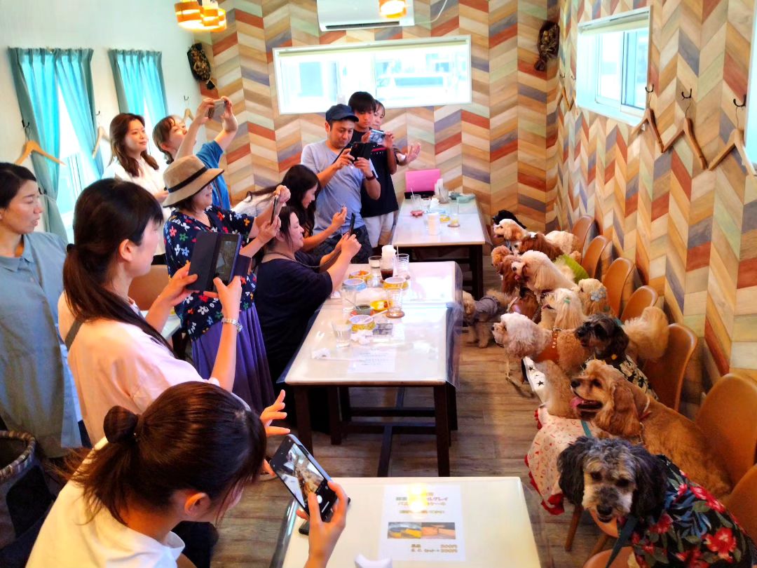 DogCafeベルン