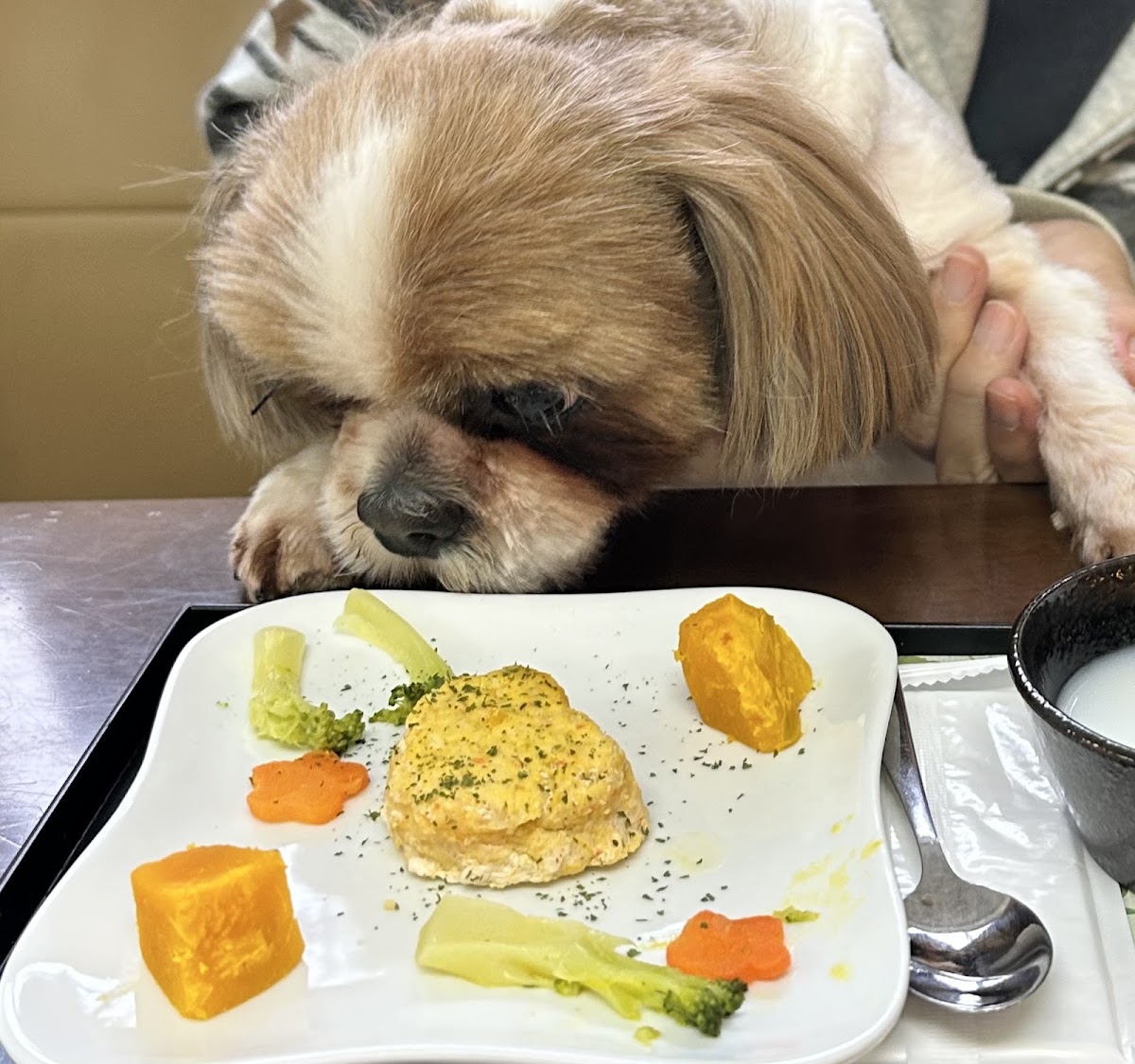 Dog cafe Daijoubuの実際の写真