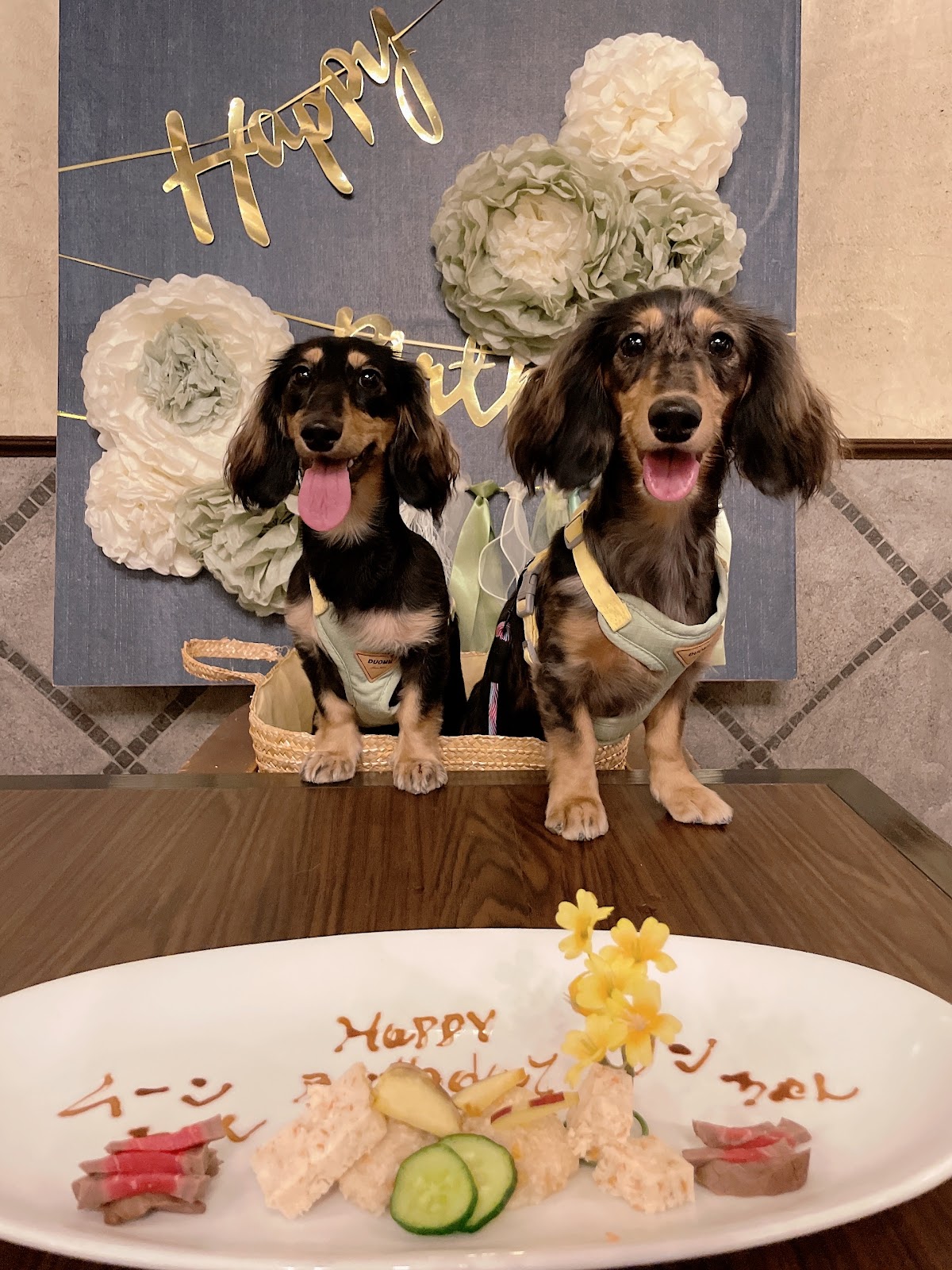 Dog Cafe さんぽの実際の写真