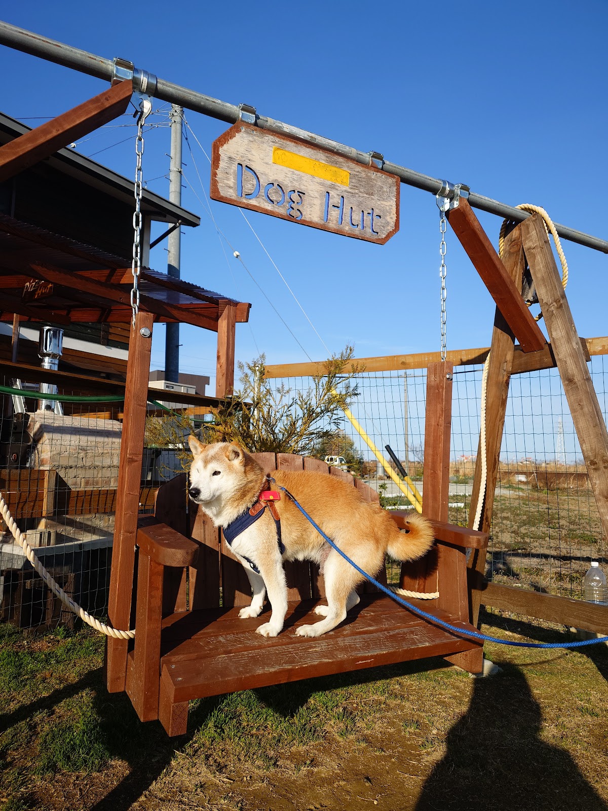 Cafe The Dog Hutの実際の写真