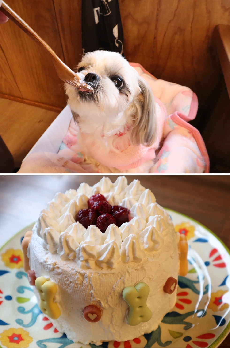 DOG CAFE ABBEY ROADの実際の写真