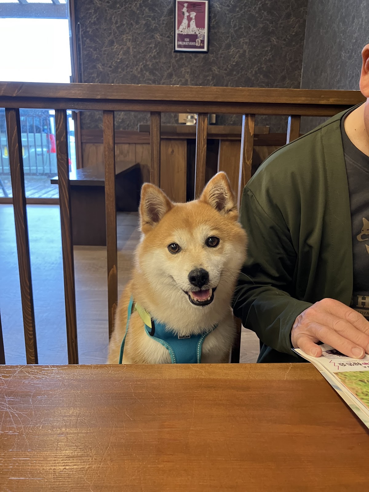 DOG CAFE ABBEY ROADの実際の写真