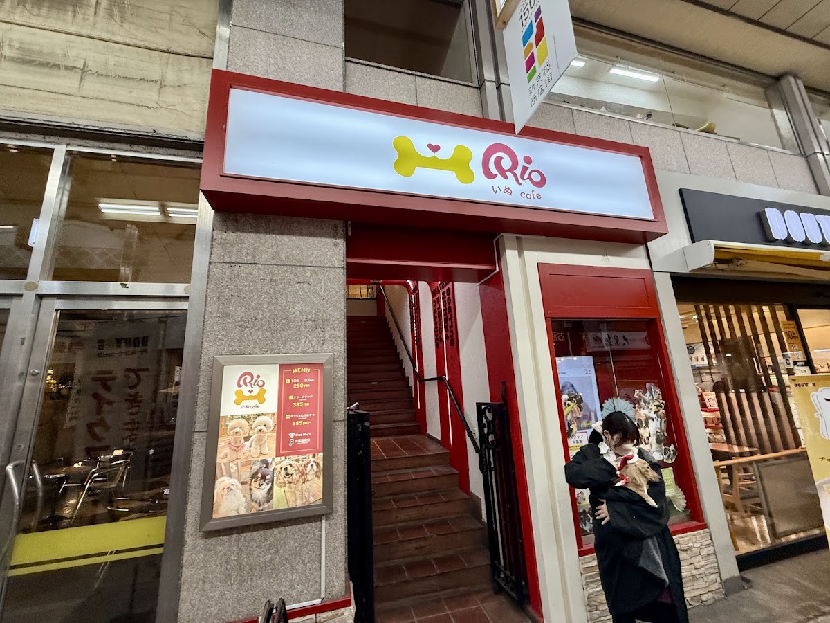いぬカフェRio 京都店