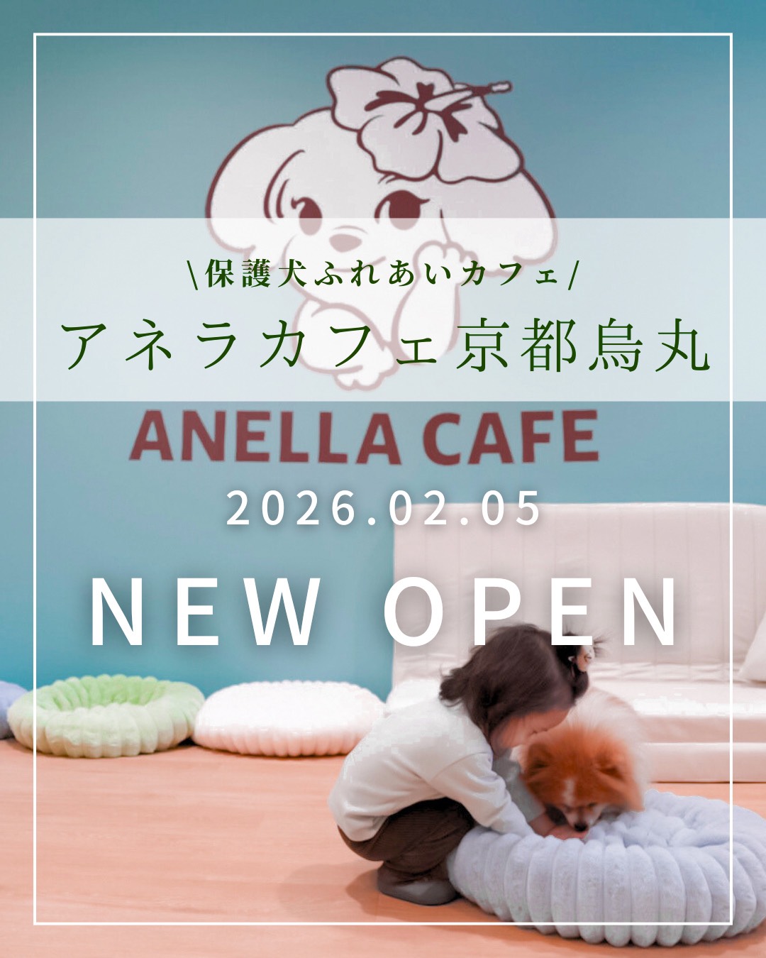 ANELLA CAFE【保護犬ふれあいカフェ】京都烏丸店