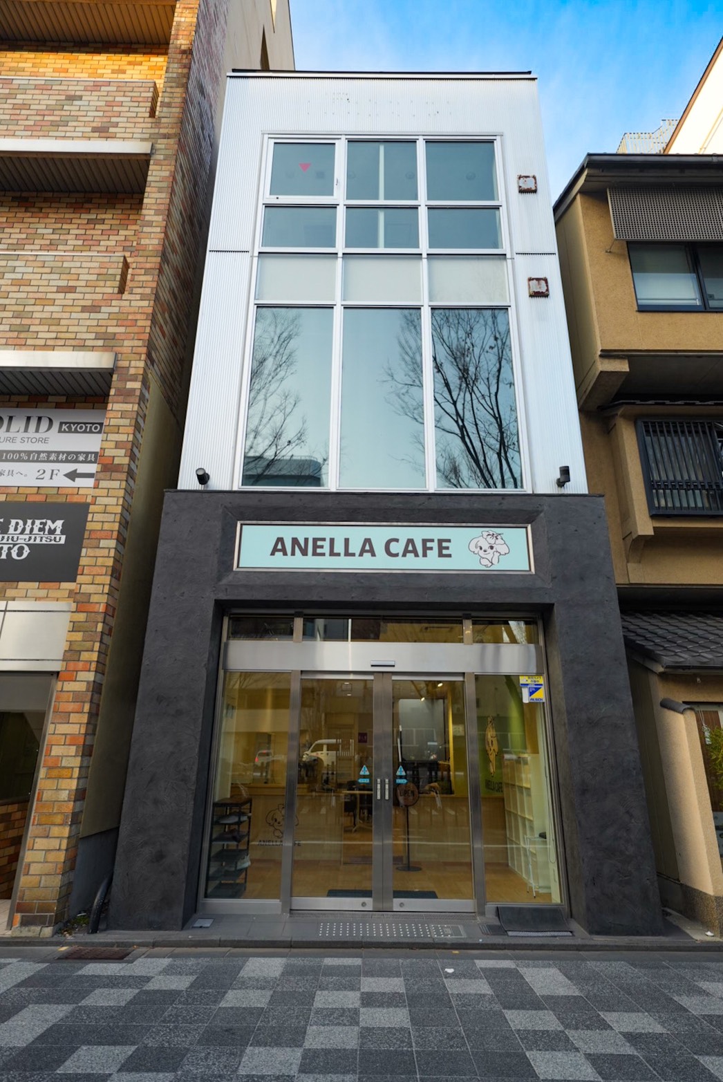 ANELLA CAFE【保護犬ふれあいカフェ】京都烏丸店の実際の写真