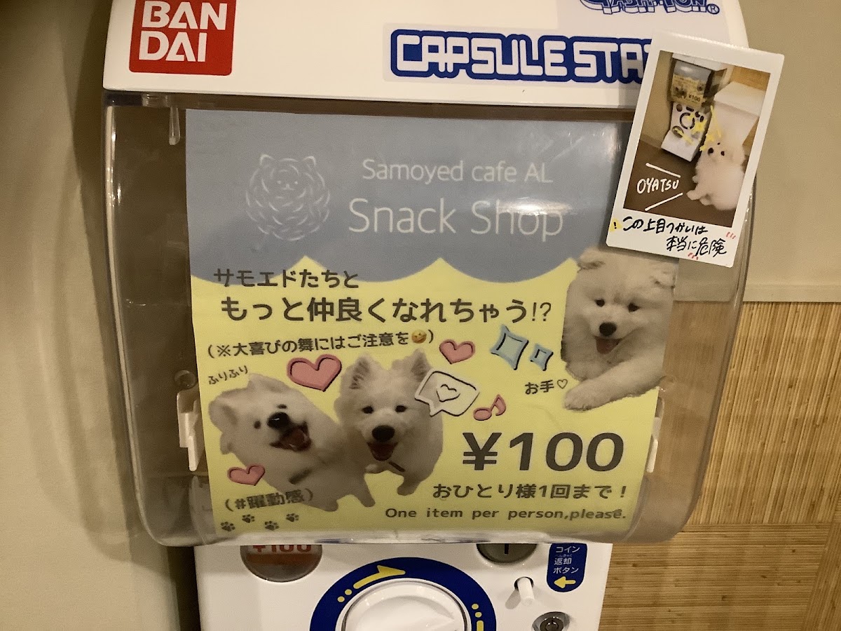犬カフェ サモエドカフェ アル 京都河原町店の実際の写真