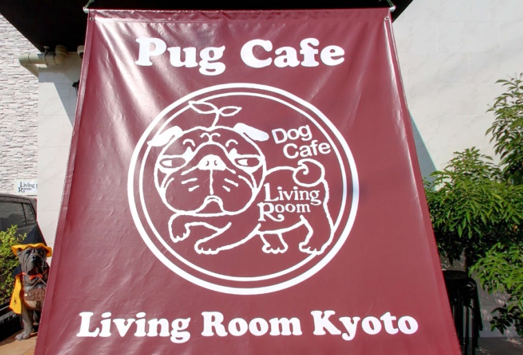 パグカフェ LivingRoom 京都の実際の写真