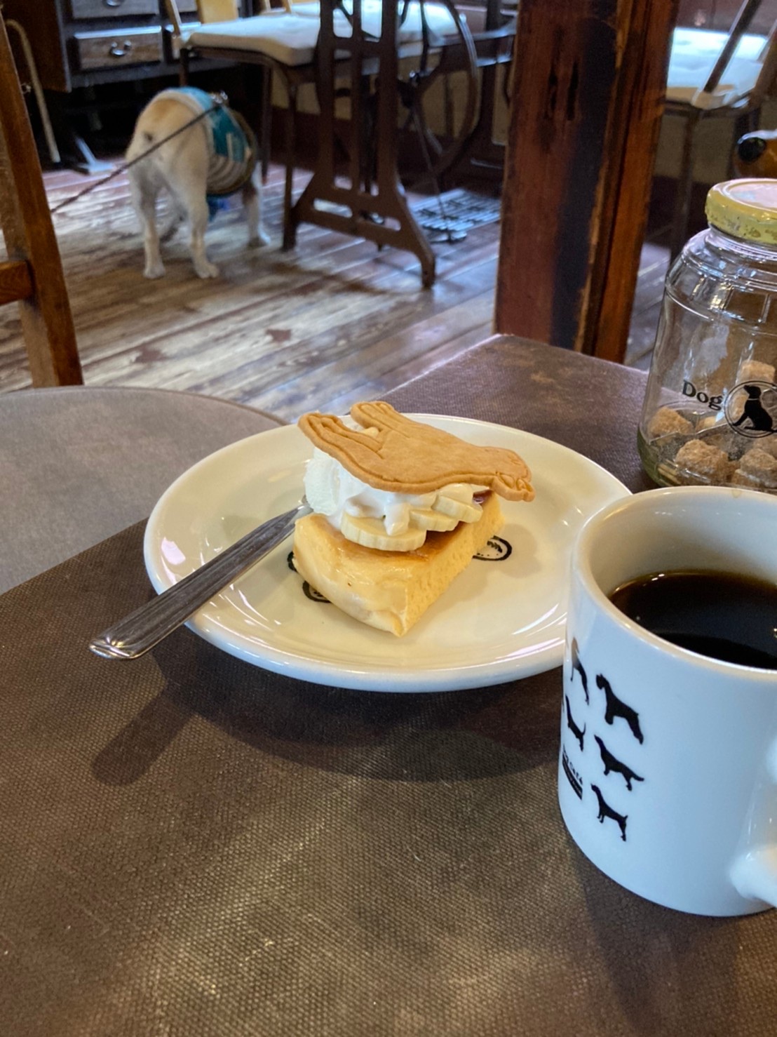 ドッグカフェの実際の写真