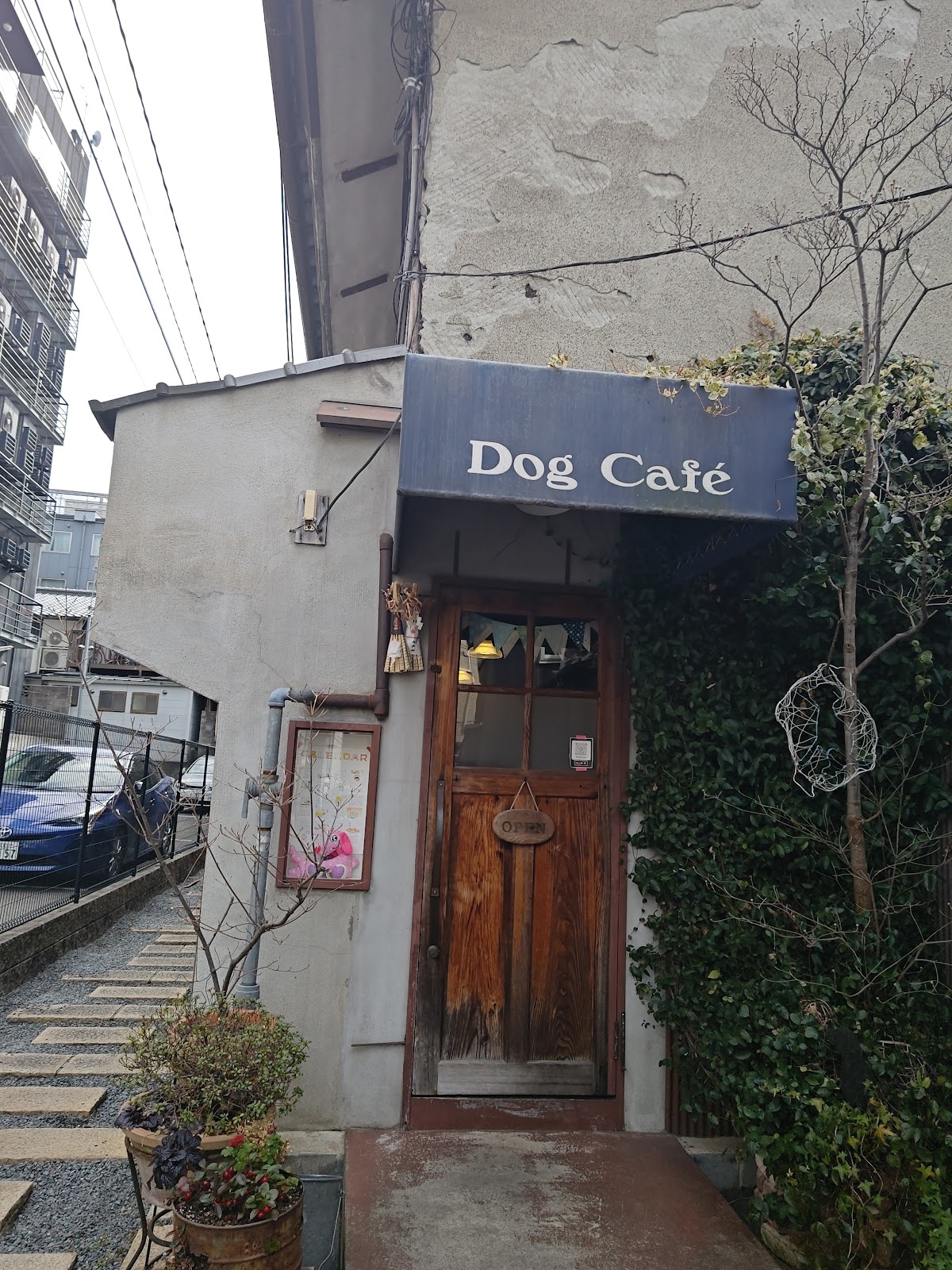ドッグカフェの実際の写真