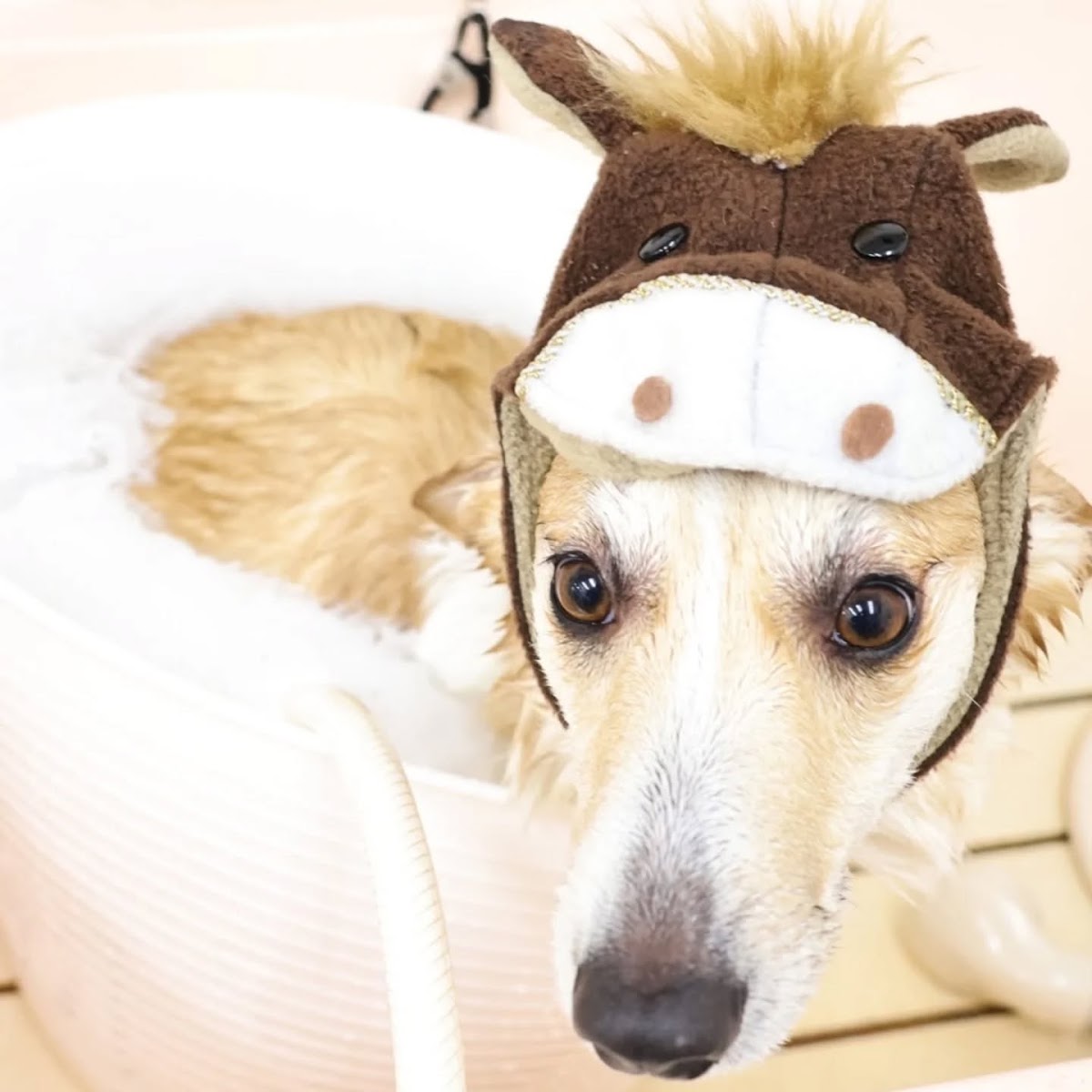 Cafe＆Hotel＆Rental Space Mont Kyoto Nijo Kawabata（川端二条 カフェ モン）の実際の写真