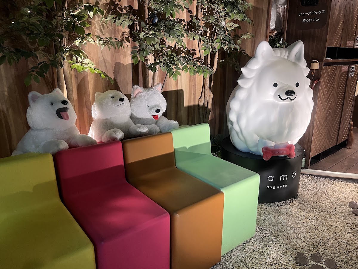 犬カフェsamo / サモエドカフェ大阪の実際の写真