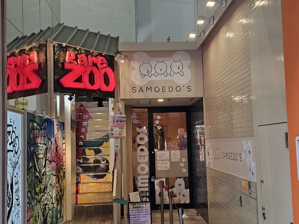サモエドカフェ SAMOEDO'S 大阪心斎橋店