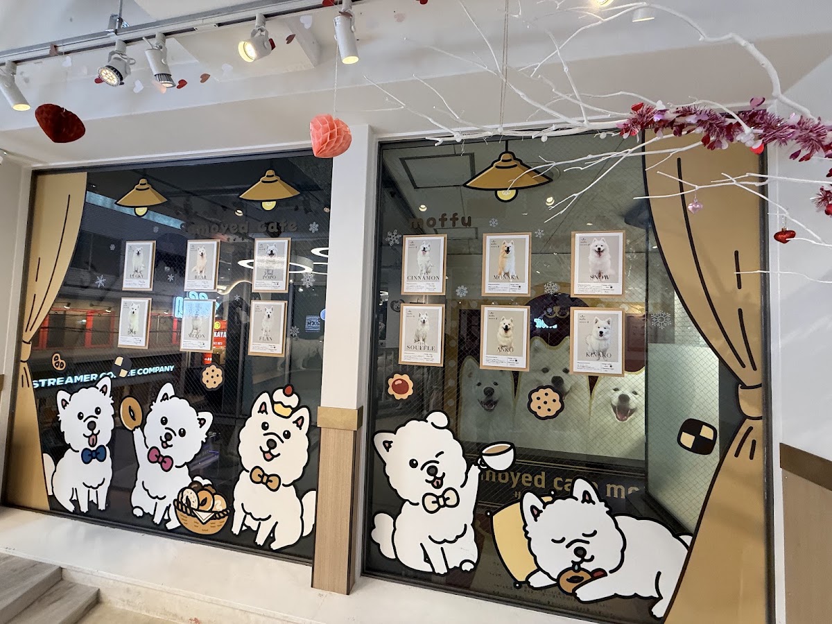 サモエドカフェmoffu 大阪心斎橋店